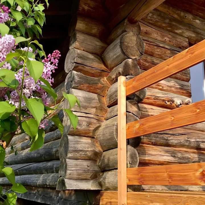 Вілла Aux Demeures Des Fees Thouron Екстер'єр фото
